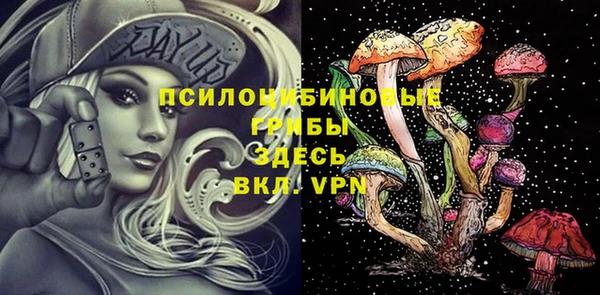 эйфоретик Баксан
