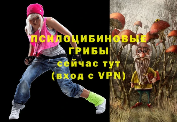 первитин Ельня