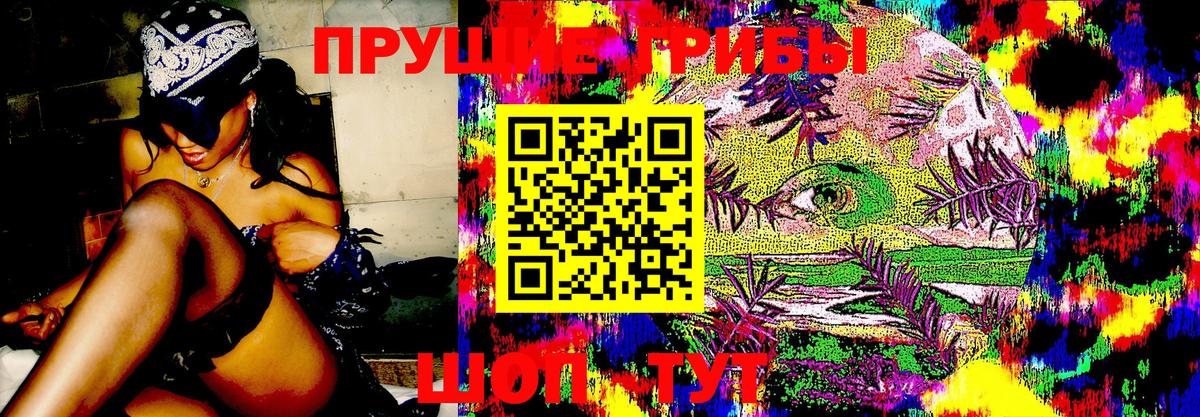 Ейск  Псилоцибиновые грибы мухоморы  Галлюциногенные грибы Psilocybe  Вход с VPN 